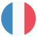 Fr France Flag Icon Circle