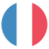 Gf French Guiana Flag Icon Circle