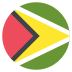 Gy Guyana Flag Icon Circle