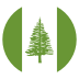 Nf Norfolk Island Flag Icon Circle