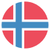 No Norway Flag Icon Circle