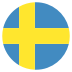 Se Sweden Flag Icon Circle