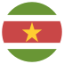 Sr Suriname Flag Icon Circle