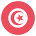 Tn Tunisia Flag Icon Circle