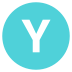 Letter Y Icon Circle Alphabet